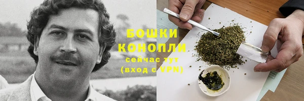2c-b Заводоуковск