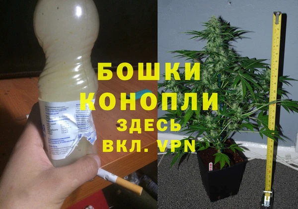 2c-b Заводоуковск