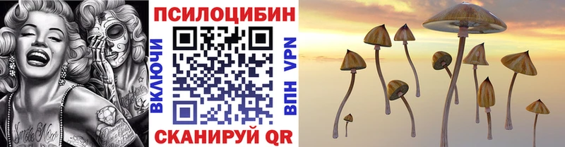 Псилоцибиновые грибы Psilocybe  Купить закладки  Качканар 